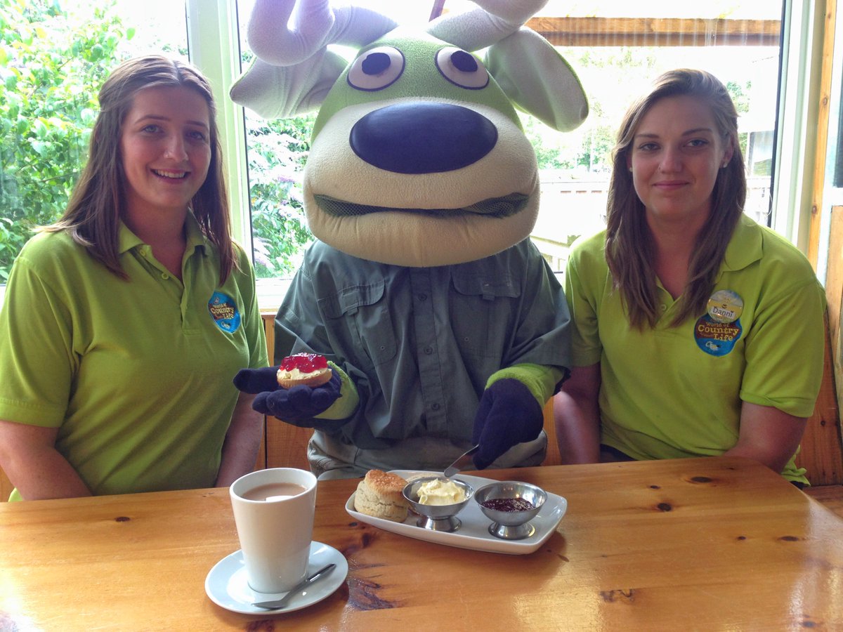 Have you seen 'Appy Angus from #Worldofcountrylife?.... I don't think he's going to share his #DevonCreamTea on #NationalCreamTeaDay