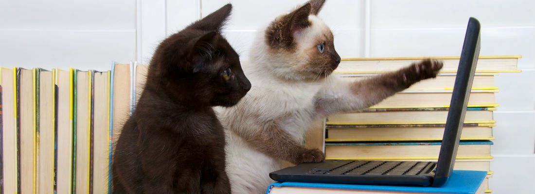 managewp's tweet image. Questions &amp;amp; Concerns From My First Impression of the WordPress Gutenberg Editor  managewp.org/articles/15438… via @TheTorqueMag and @dcmccan