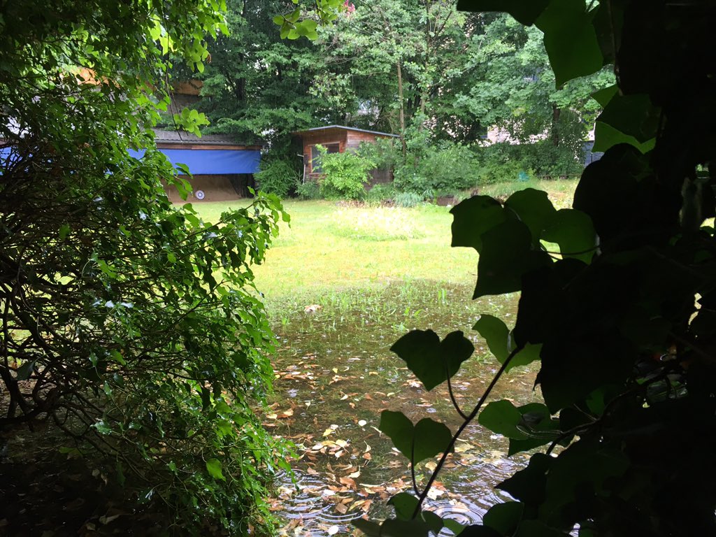 Azuchi des Alster Dojo im Regen, im Vordergrund eine Pfütze, der Blick is eingerahmt von Efeu.