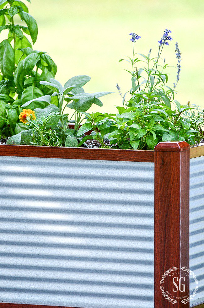 Planting beautiful herbs on the patio using raised beds. Here's how @sponsored @Gardenerssupply   bit.ly/2ttwVn4