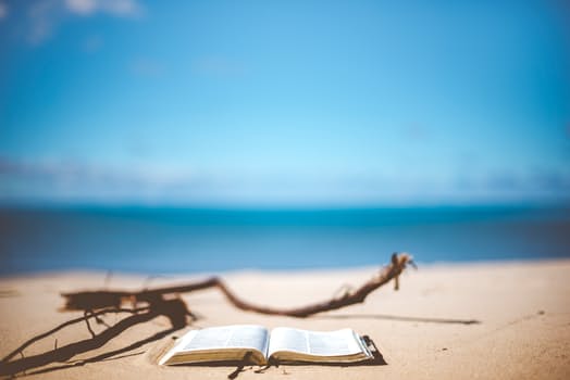 dsatspace's tweet photo. This weekโs newsletter talks about fantasy/sci-fi books, movies and video games. ๐ฝ๏ธSign up and get comfy! https://t.co/nSI4WsMwwa #dsatspace https://t.co/PdhrCE9i8S