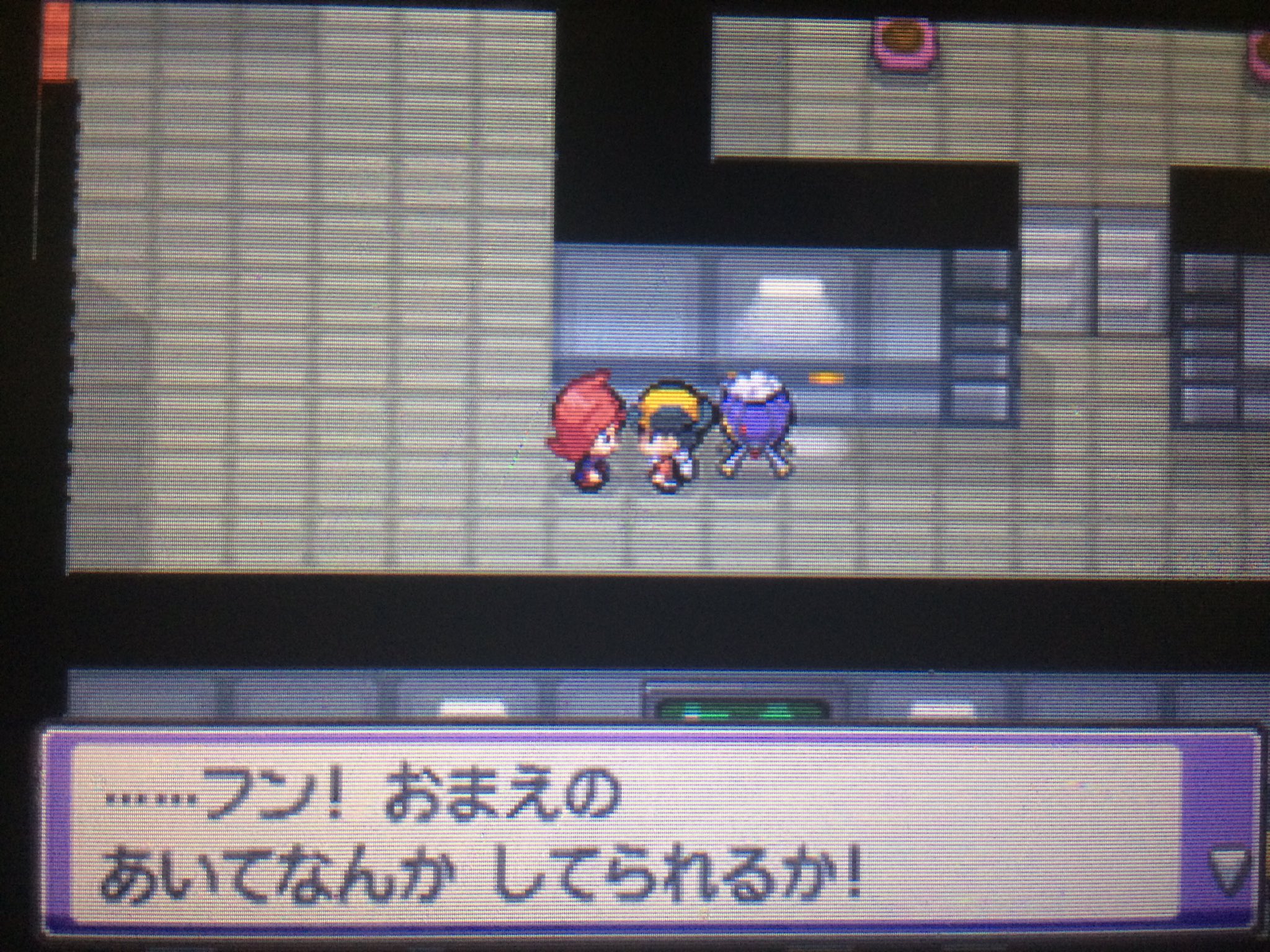 ポケモンハートゴールドフワライド単騎縛り Twitter