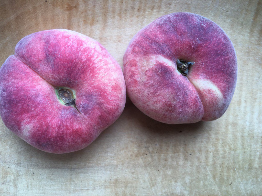 KitchenBee's tweet photo. Best food description I heard all wk was from a 5 year-old. Flat peaches feel 'like a cosy cushion'. @flavourschool https://t.co/Z5yT9ki6hu