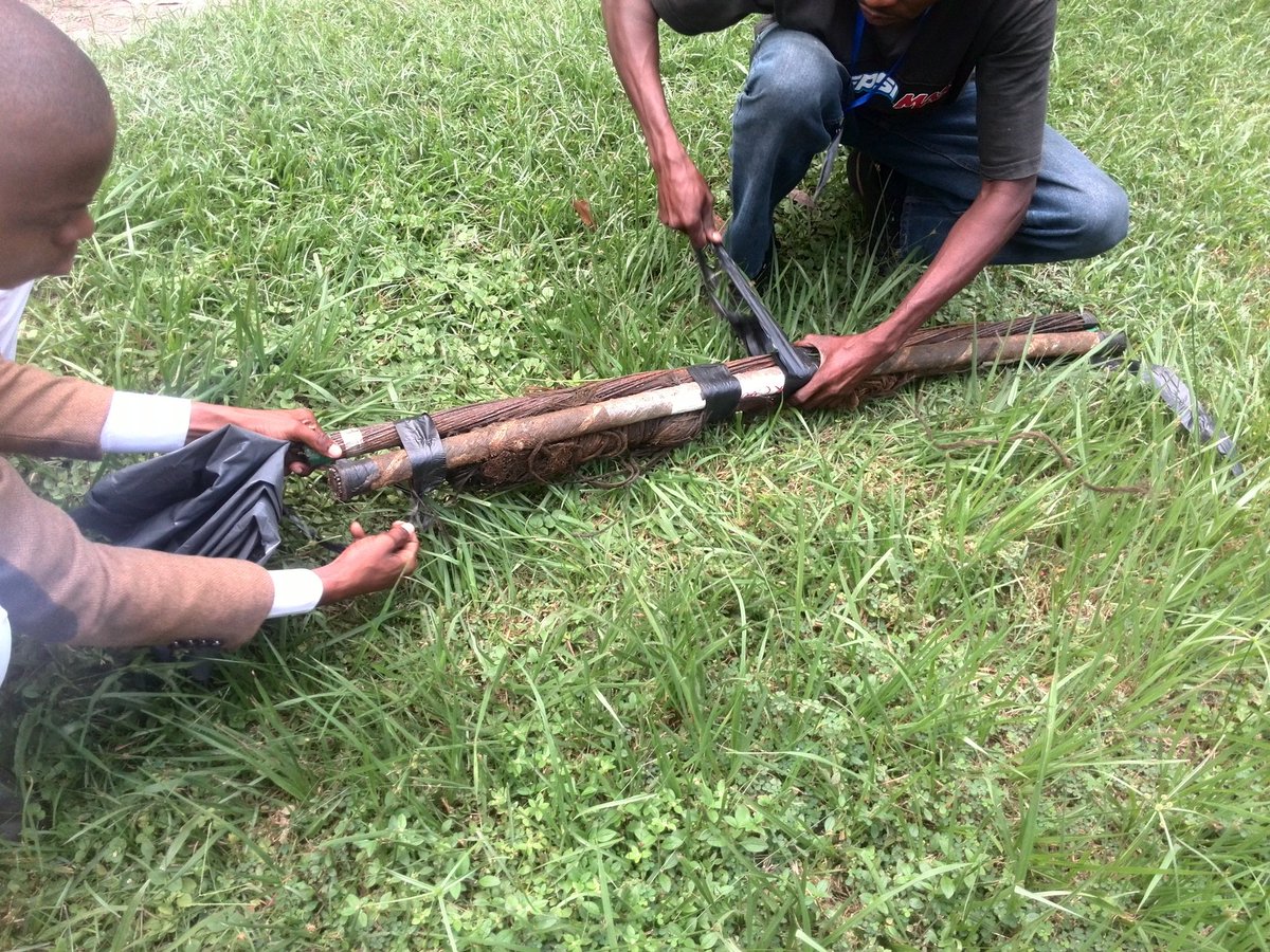 EXCLUSIVITÉ: 

Le câble(fibre optique ) endommagé réceptionné à Brazzaville pour des besoins d'archivage. 

PS: vu de plus près