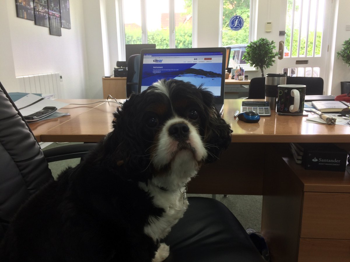 ClearIFA's tweet image. After an aggressive takeover, the company is now under new management!