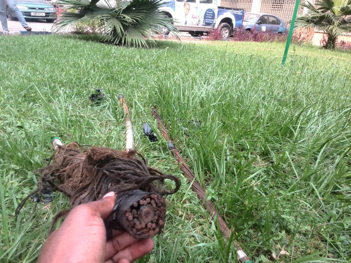 EXCLUSIVITÉ: 

Le câble(fibre optique ) endommagé réceptionné à Brazzaville pour des besoins d'archivage. 

PS: vu de plus près
