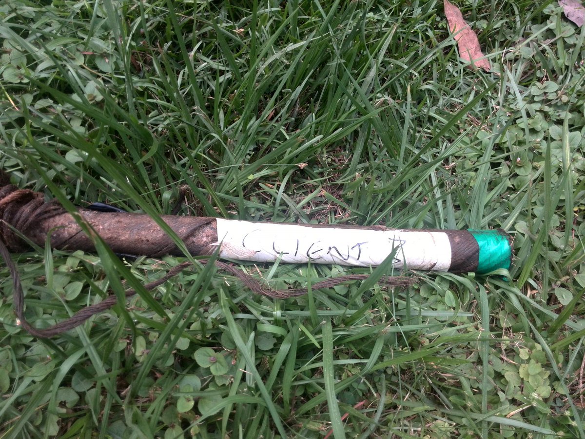 EXCLUSIVITÉ: 

Le câble(fibre optique ) endommagé réceptionné à Brazzaville pour des besoins d'archivage. 

PS: vu de plus près