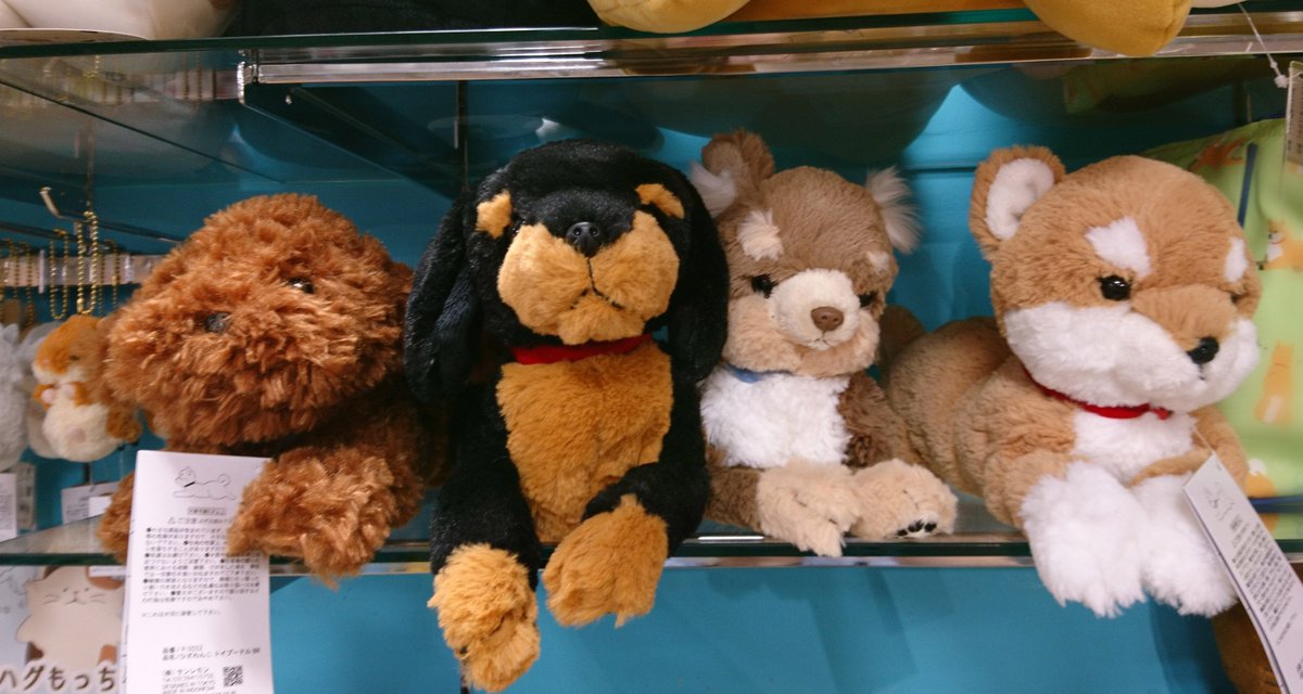 キートス新宿店に本日お邪魔しました！ もふもふももちもちも大量っ