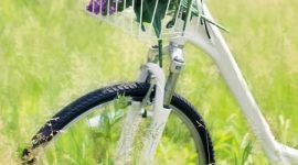 Si te marchas de vacaciones, ten en cuenta los cuidados frente al calor ow.ly/nuZR30daOo5 #bvsspa #ciudadanía