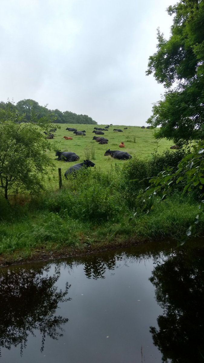 Local_Devon's tweet image. Def a sitting down kind of day today it seems 😀