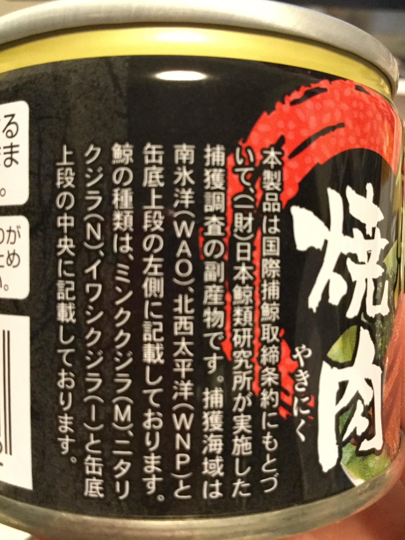 そーるずべりー 南氷洋のミンクジラでした そーるずべりー 南氷洋のミンクジラでした