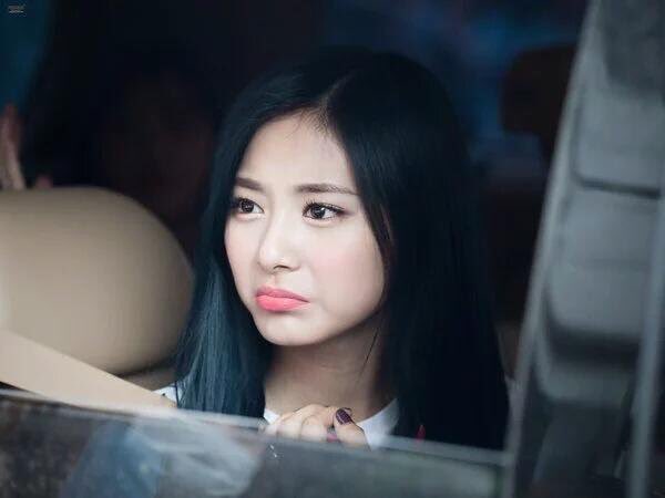 트와이스 쯔위 일본 반응 | 인스티즈