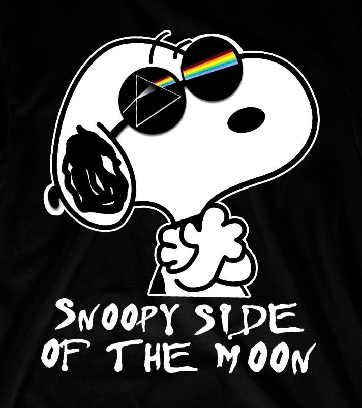 15jjc's tweet photo. Saw this on the net and it made me smile. #Peanuts #PinkFloyd mashup #DSOTM #SSOTM ππ https://t.co/fe8sRyqRHd