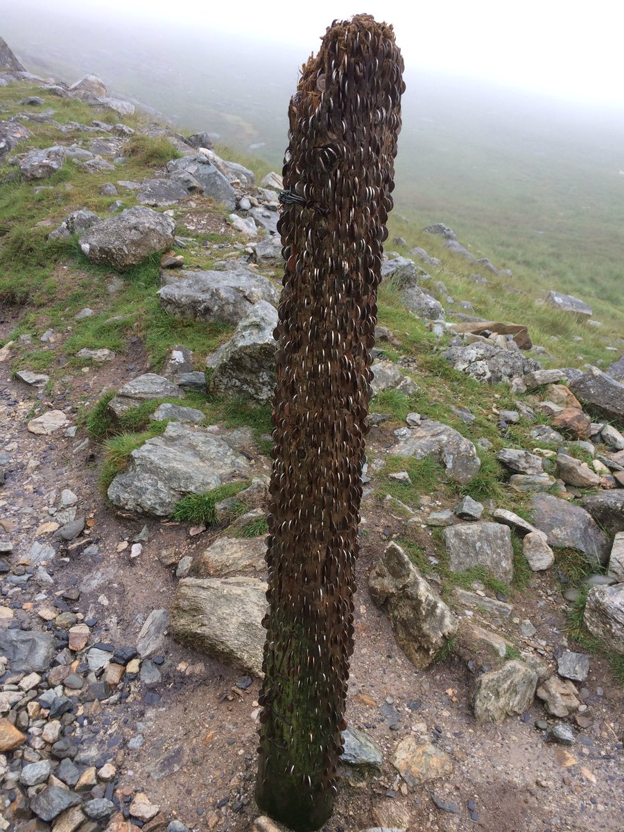 TomIngall's tweet photo. Breaking. I have located the magic money tree halfway up Snowden mountain. https://t.co/EDrJw9wddn