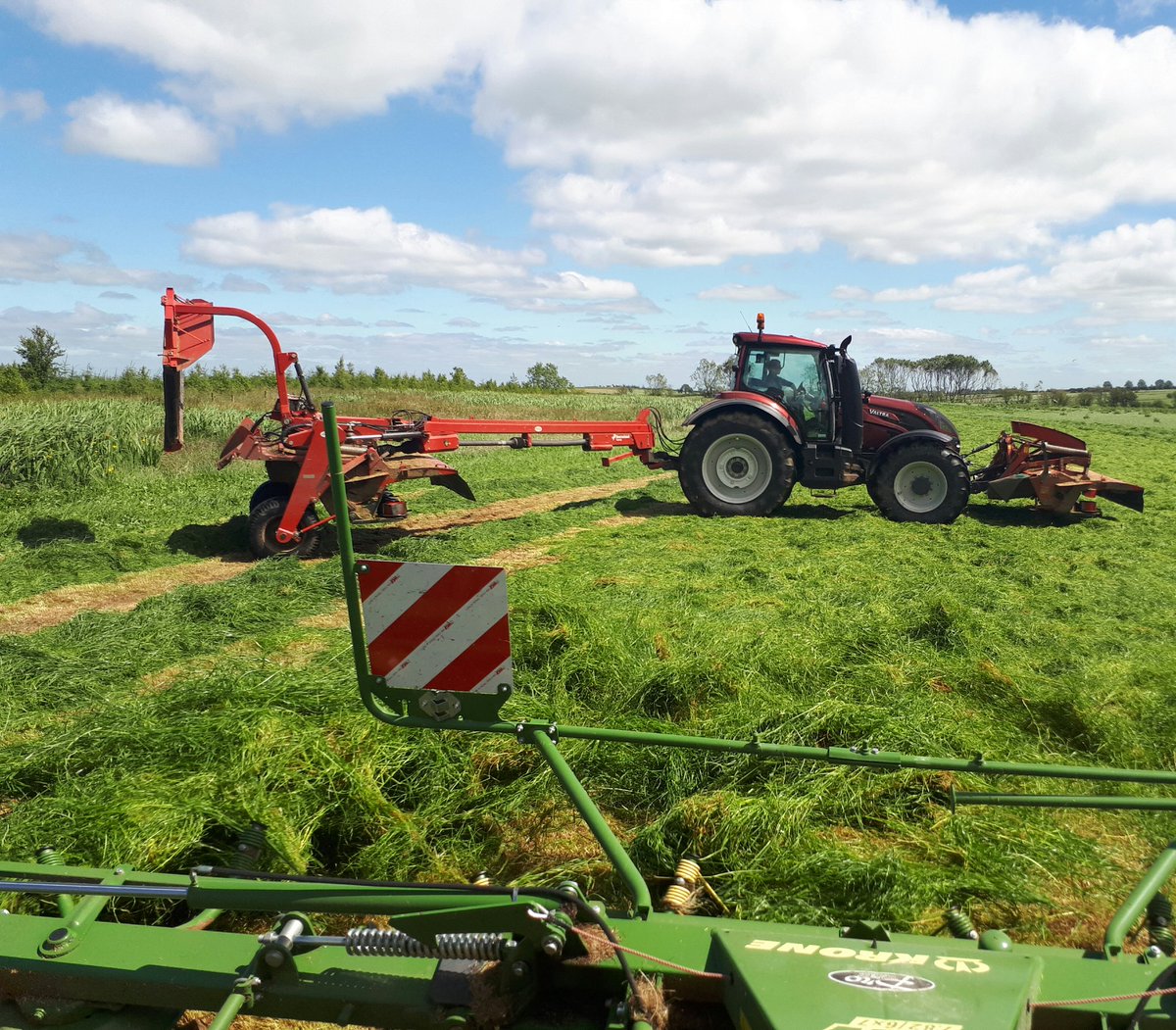 grazyfarmer's tweet image. 36 dry hours would be nice!! #chancingit 🚜🚜