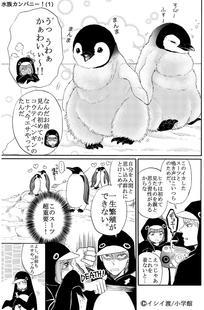 応援ツイート用素材です!水族カンパニーのご感想、PRと共にご自由に使って下さい🐧 