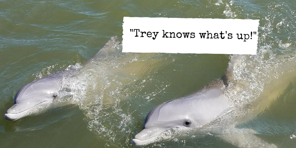 BeachPropHHI's tweet photo. We appreciate the follow @TreyZibutis ! ๐๐ด๐
#HiltonHeadIsland #HiltonHead #FollowUsToTheBeach https://t.co/Cm4B8wc85v