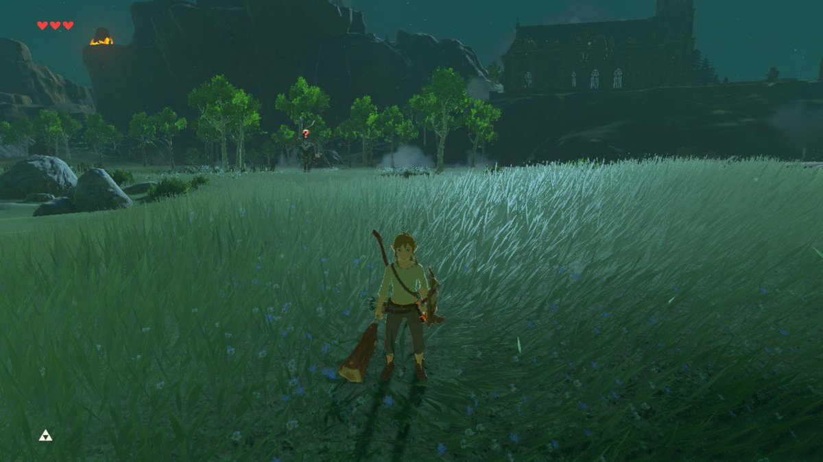 mirwing's tweet photo. master mode #BreathoftheWild #NintendoSwitch https://t.co/OmINKhHIHo
