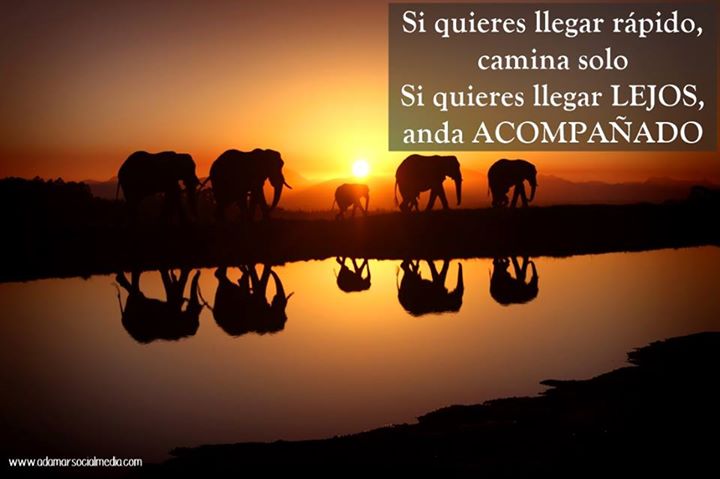 AdamarSocial tweet picture