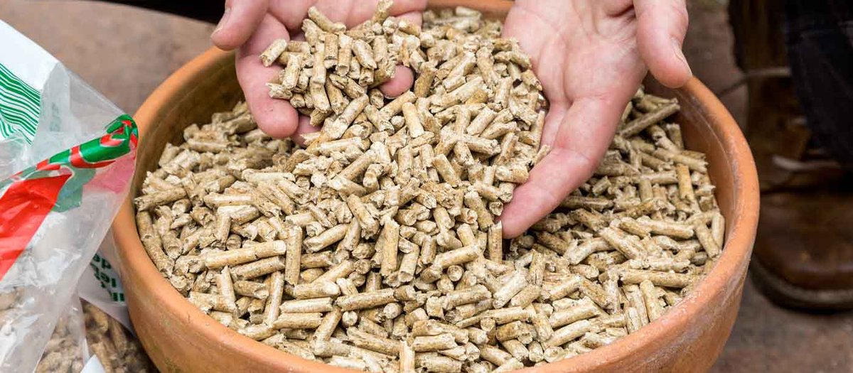 Find out how our new biomass boiler keeps Wallington toasty with a talk and tour at 11am &amp; 1pm today. @reheatRT