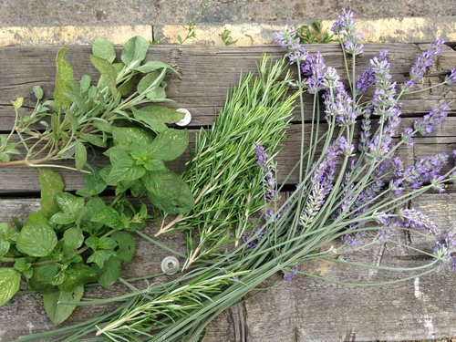 HackneyArts's tweet photo. @UnLtd 2 of your #HackneyConnect alumni working together,@hackneyherbal x @hackneyarts collab!Thx for connecting us! https://t.co/ySXa7CFVpx https://t.co/kkt4kvf8bc