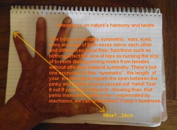 elton1937's tweet photo. is the size of a man's phallus equal to the span between the thumb and the pinky of his hand fully spread?  trump's hands are tiny so... https://t.co/2E6Fe8p4j1