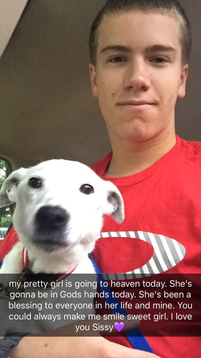 JohnsonSean44's tweet photo. God gained the sweetest dog to ever live this morning. Many of you know her and she'll be forever missed. I love you Sissy. #flyhighSissy โค๏ธ https://t.co/a5xSoisjd7