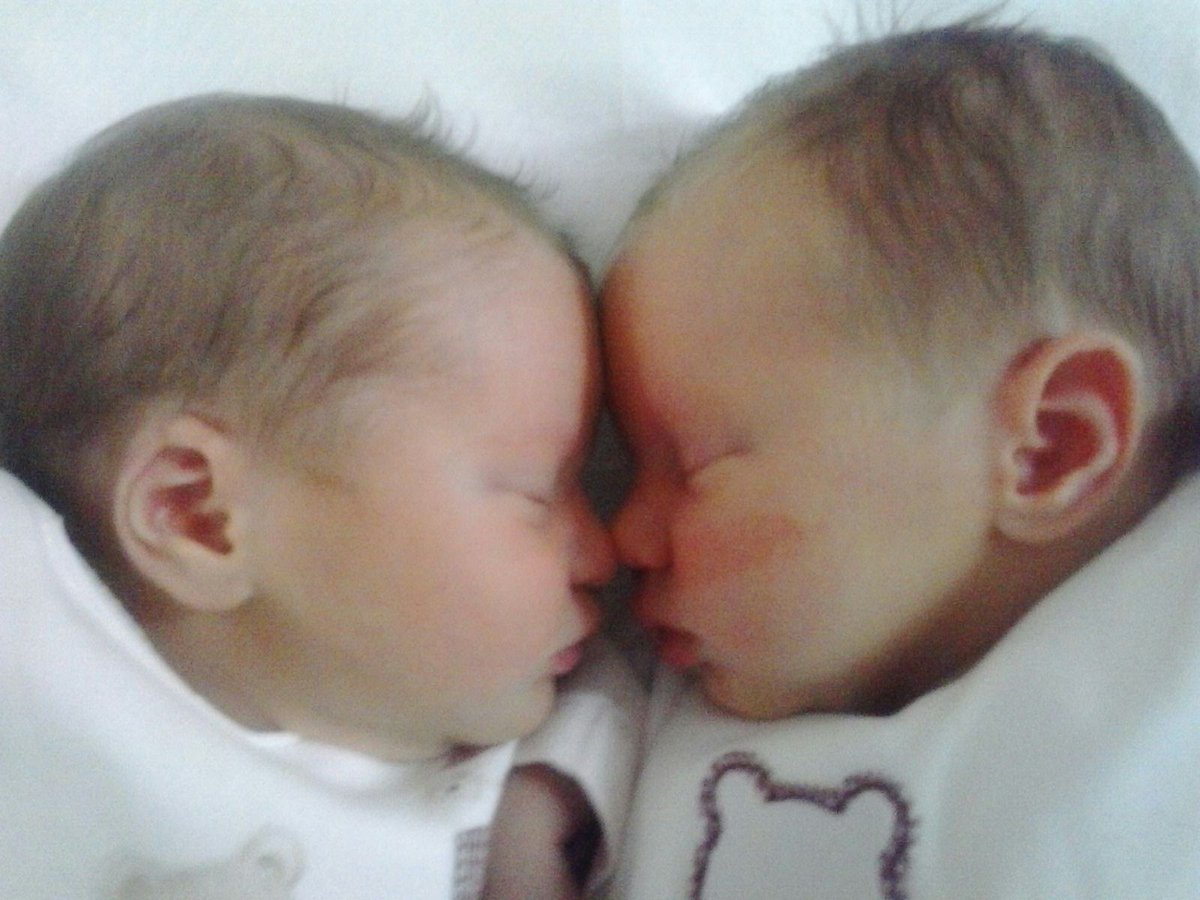 AndronicaAmVF's tweet photo. #zapeando903 #IreneYLara #RecienLlegadas #lasmasguapas #AmorDeMadre https://t.co/gg466MJpAf
