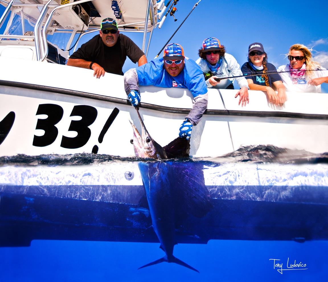 Keep them wet !!! Keeps them alive !!!