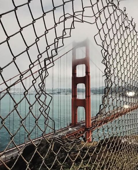 RC_Schools's tweet photo. See us at the Alameda County Fair! This is one of our 1st Place ribbons in photography by Brianna De La Cuesta.
#RCSsummer https://t.co/dUk1IAIZnu