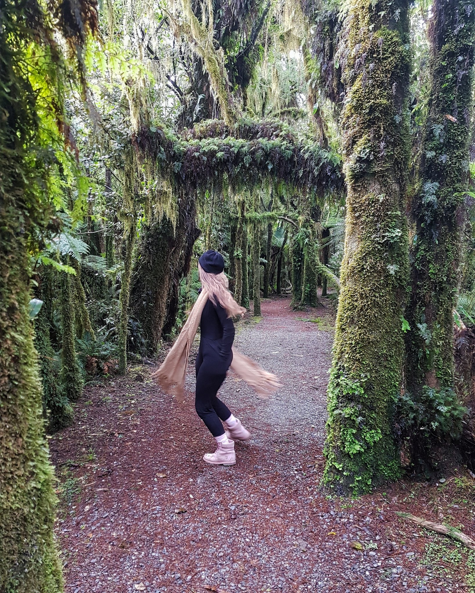 MissAlice_94 on Twitter "Fairy forest!…