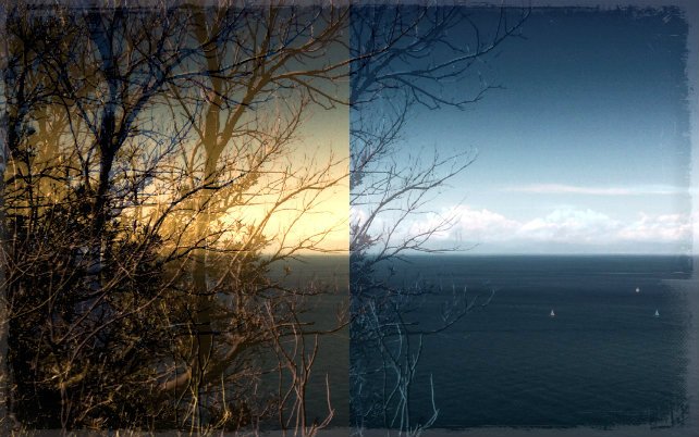Tu guardavi la purezza dell'infinito,il distacco dall'effimero,mentre i tuoi occhi assorbivano il colore del mare..
IsolaD'Elba (Agosto2015)