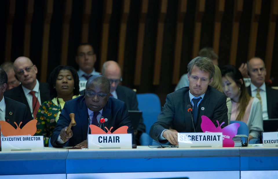 UNAIDS's tweet photo. UNAIDS Board seizes opportunities of change to deliver results: https://t.co/cM9jt63mDl #PCB40 https://t.co/J9KCpSKtHm
