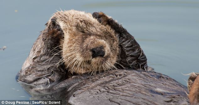 sadly this is my last day at PInpoint Towers -hope you have enjoyed my tweets occasionally been edified! So long and thanks for all the fish