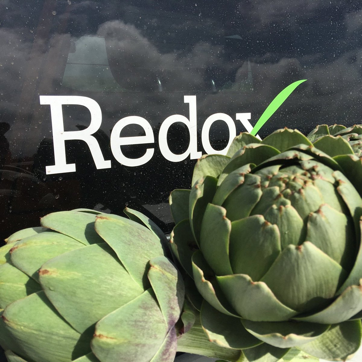redoxgrows's tweet photo. Artichokes in Salinas are about ready for harvest. Size & numbers are looking great thanks to #H85, #OXYCOMCalcium, #diKaP & #TriPlexMicro https://t.co/3TNavJPEk7