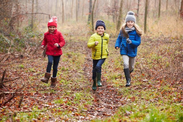We're creating a community woodland to celebrate 25 years of twinning - and we want you to be involved:

dentontwinning.co.uk/woodland