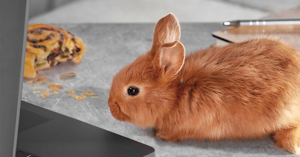 HPBusiness's tweet image. The avg user is more likely to detect leftovers than choose a strong password. Keep safe w Multi-Factor Authenticate hp.tl/60168o01Y