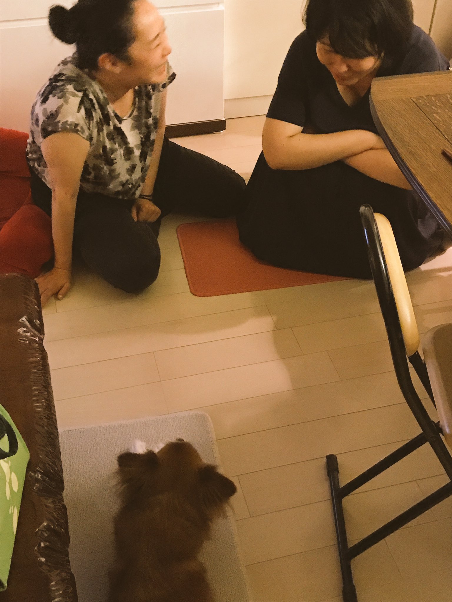 居酒屋花子 Twitter Search Twitter