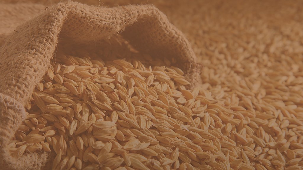 #MondialDeLaBiere Découvrez la gamme dédiée de #CraftBeer <a href="/Malteurop/">Malteurop</a>,<a href="/CraftMasterMalt/">Craft Master Malt</a>  : craftmastermalt.com #biere