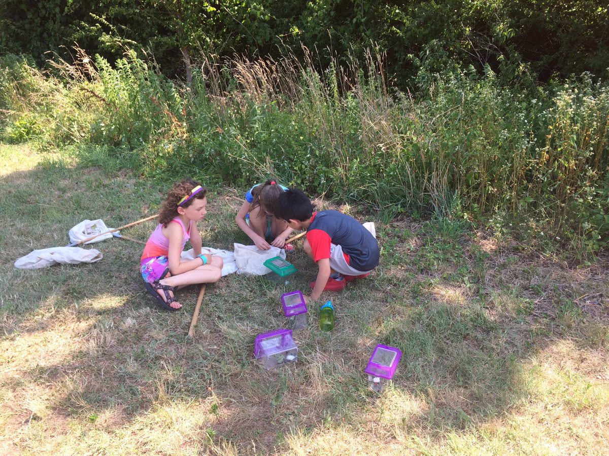 UMDBugCamp's tweet photo. Beautiful day for big collecting by the lake! #BugCamp https://t.co/vl693qMu7s
