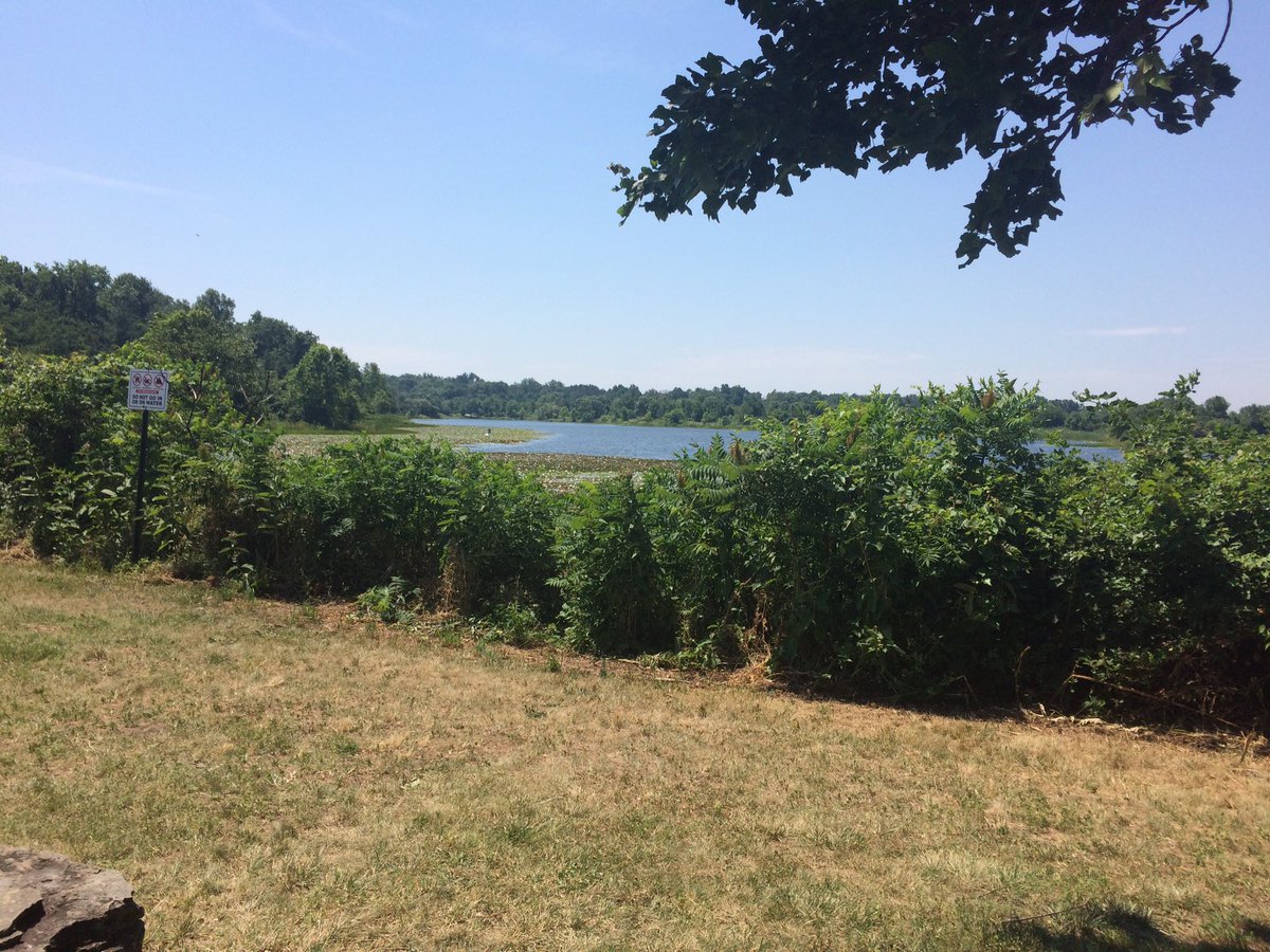 UMDBugCamp's tweet photo. Beautiful day for big collecting by the lake! #BugCamp https://t.co/vl693qMu7s