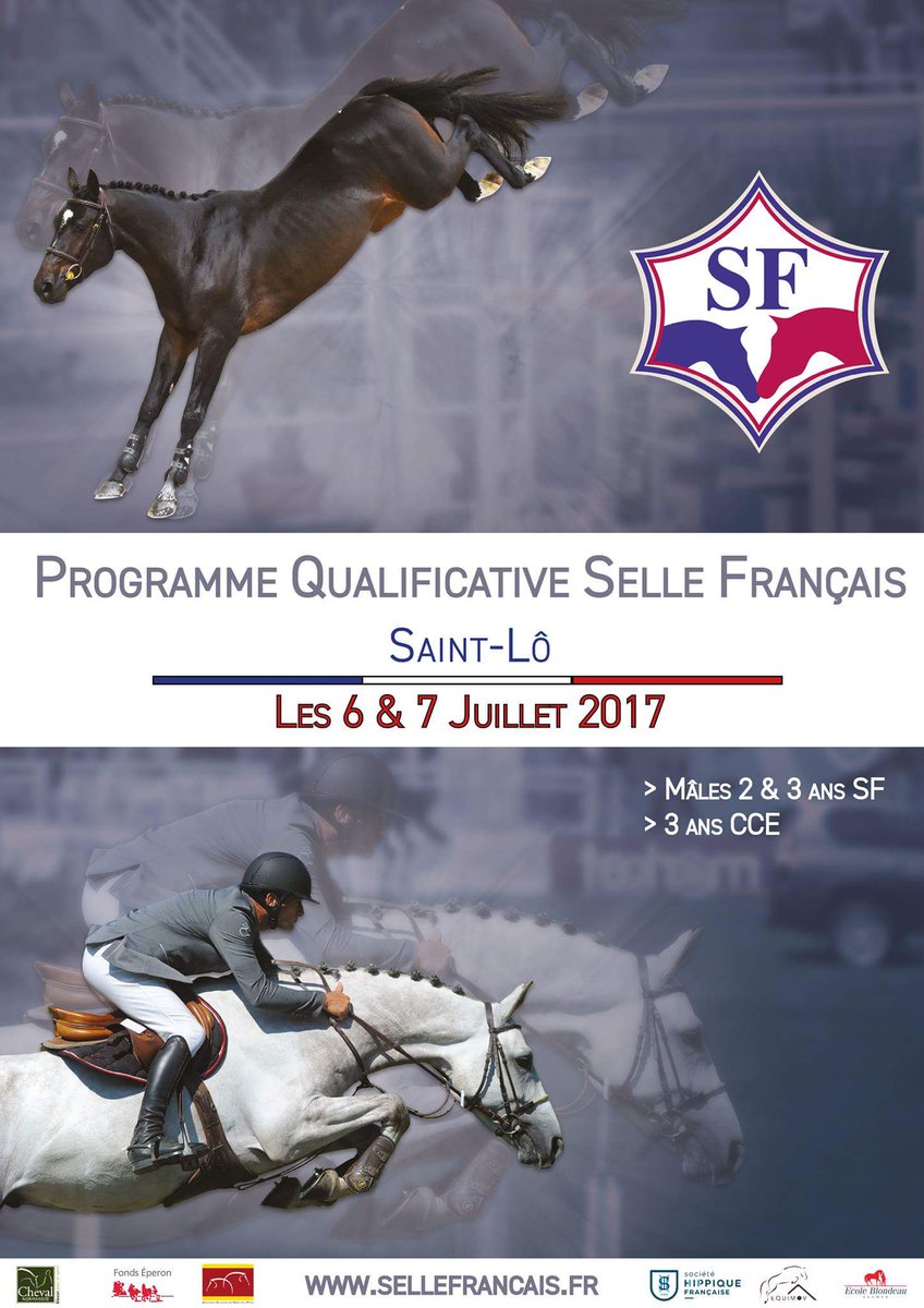 Selle Français tweet media