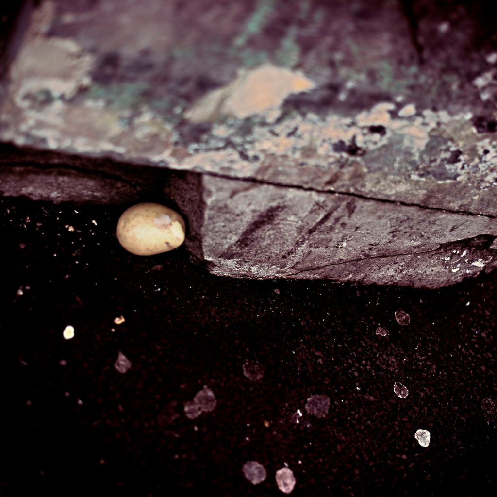 Thefaketory's tweet photo. New Post: Paris, June 2015, one potato two potato, #29304 https://t.co/D9IVDjUL3a https://t.co/0Bvfojtdgx