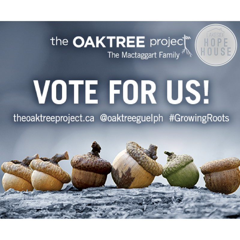 HopeHouseGuelph's tweet photo. Together, we can help ensure that no person has to sacrifice future health in order to survive today. #OakTreeProject #healthyfoodoptions https://t.co/eimW2ZGnQU