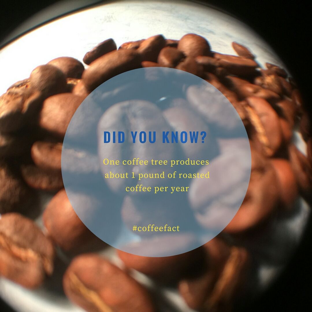 Delicacy Deli tweet media