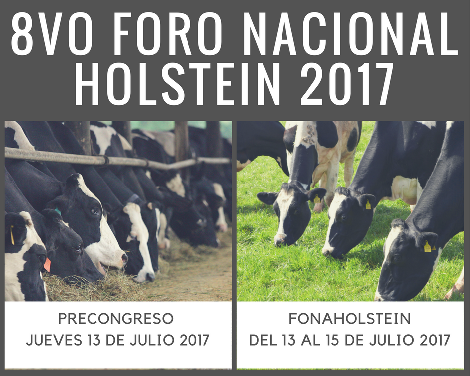Holstein Américas tweet media