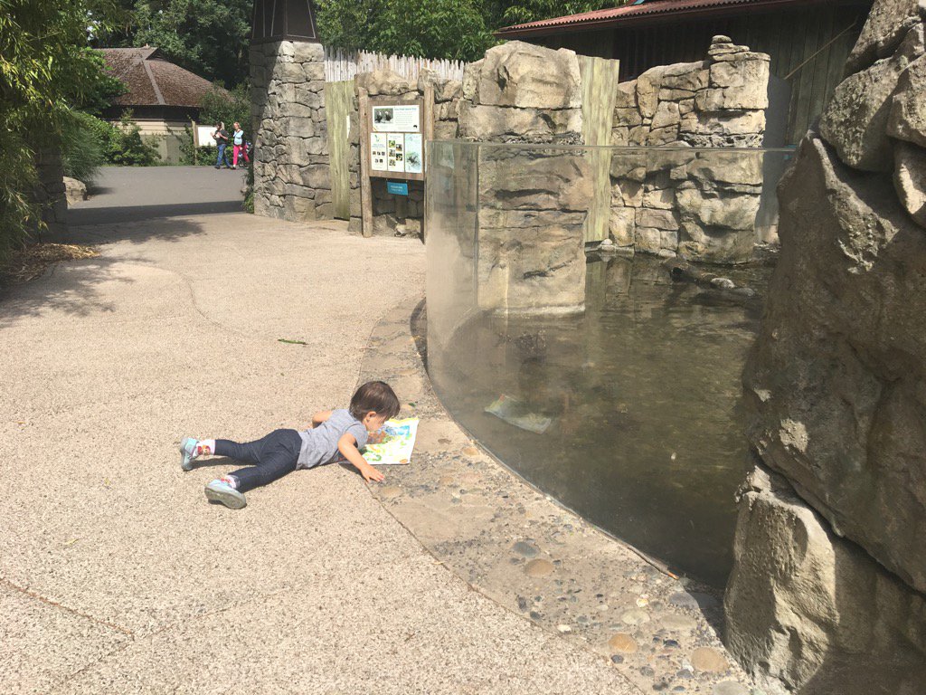 Zoo visit after a soul-fueling 3days at #CGIseattle My little mathematician was more into the map than the otters.