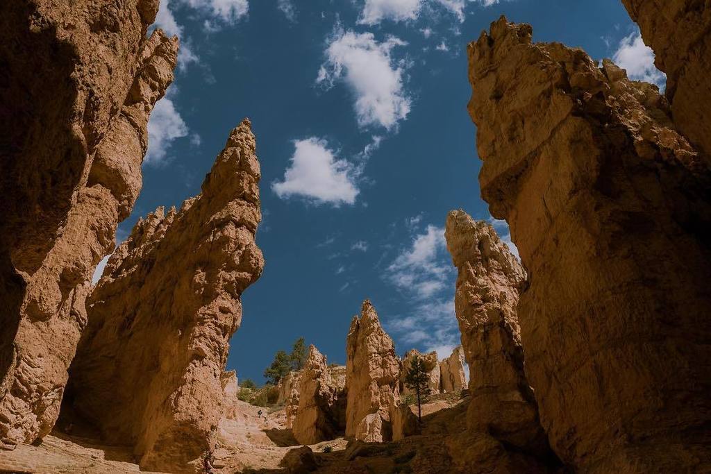"If creation sings Your praises so will I" (so will I - hillsong)
.
.
.
#brycecanyonnationalpark #brycecanyon #nationalparks #nationalparks…