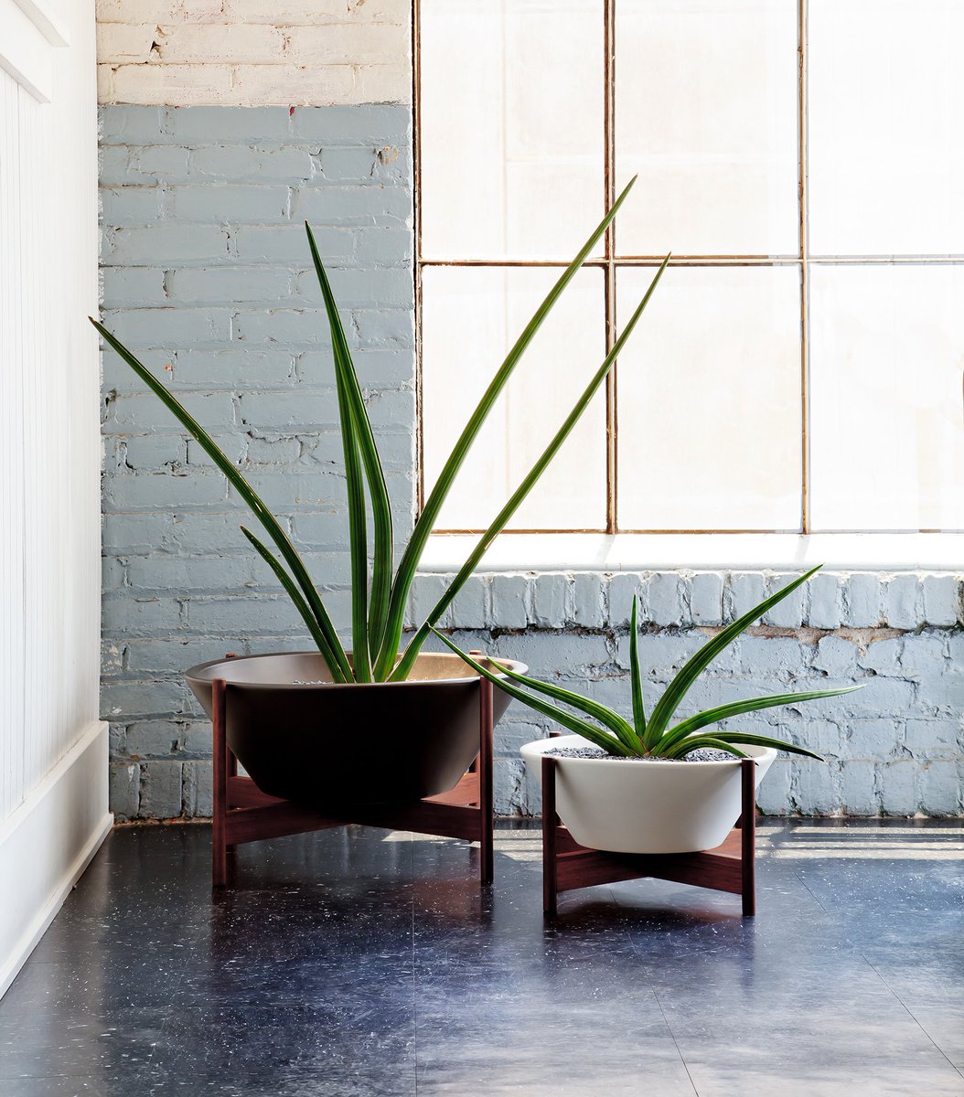 Modernica's tweet image. Sanseviera Cylindricas looks great in our Case Study® Wok. Show us your favorites plants by tagging #CaseStudyCeramics