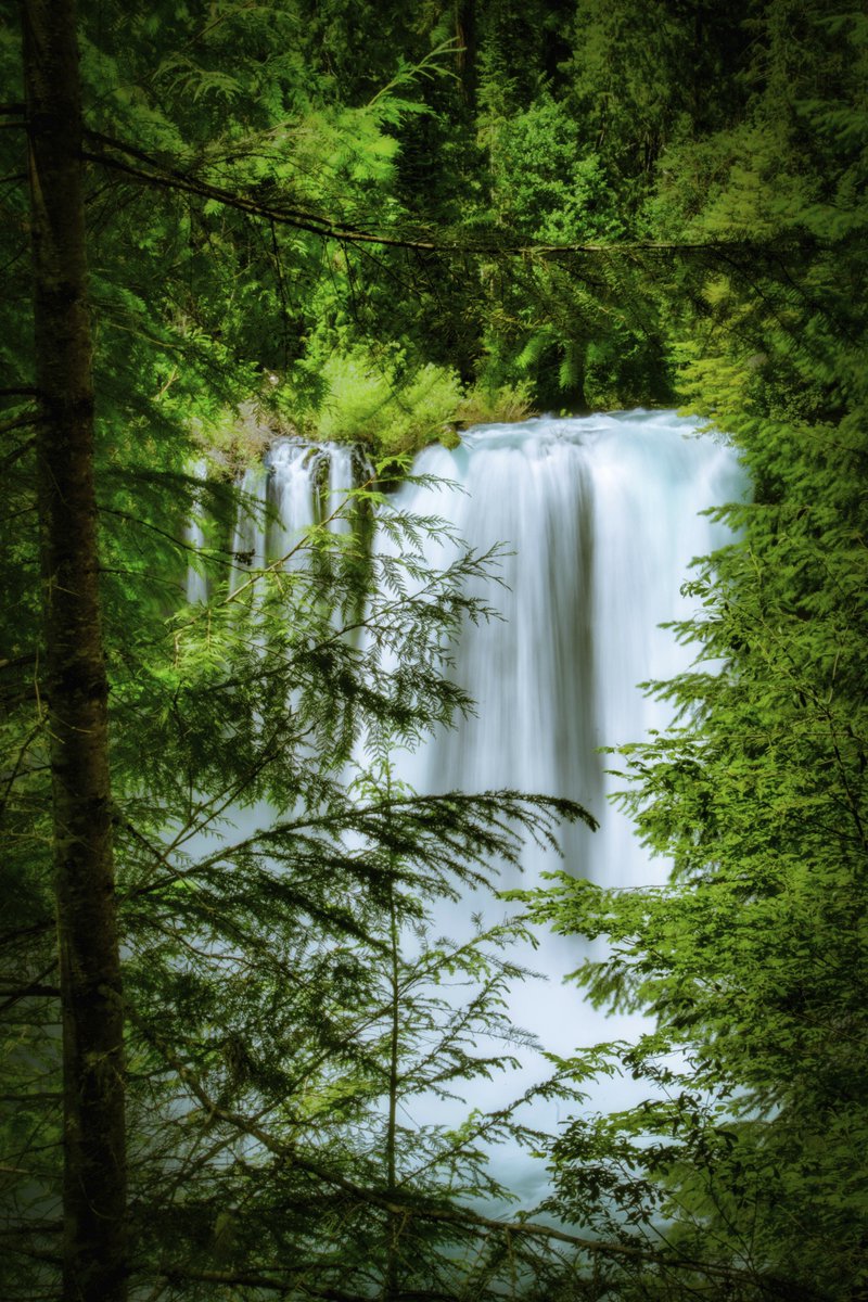 Koosah Falls on the McKenzie River in Oregon.